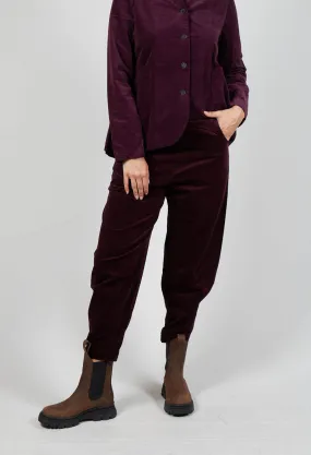 Alicia V Trousers in Uva