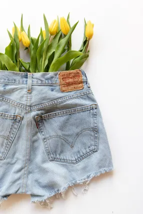 Betty jo denim shorts