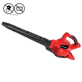 Powerworks 40V blower/vac (skin only)